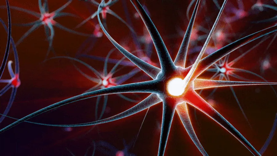 Illustration of neural activity stimulated by cryotherapy