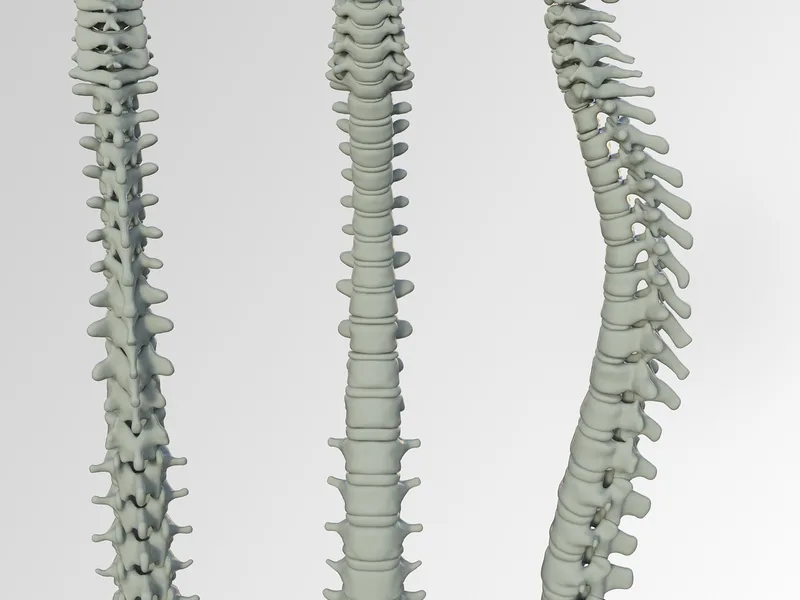 Spinal Manipulation at Midtown East Physical Therapy in New York, NY